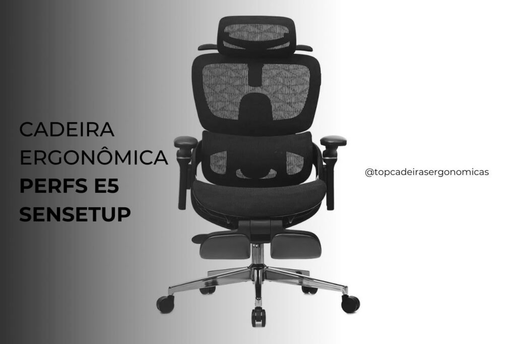 Cadeira Presidente Ergonômica Perfs E5